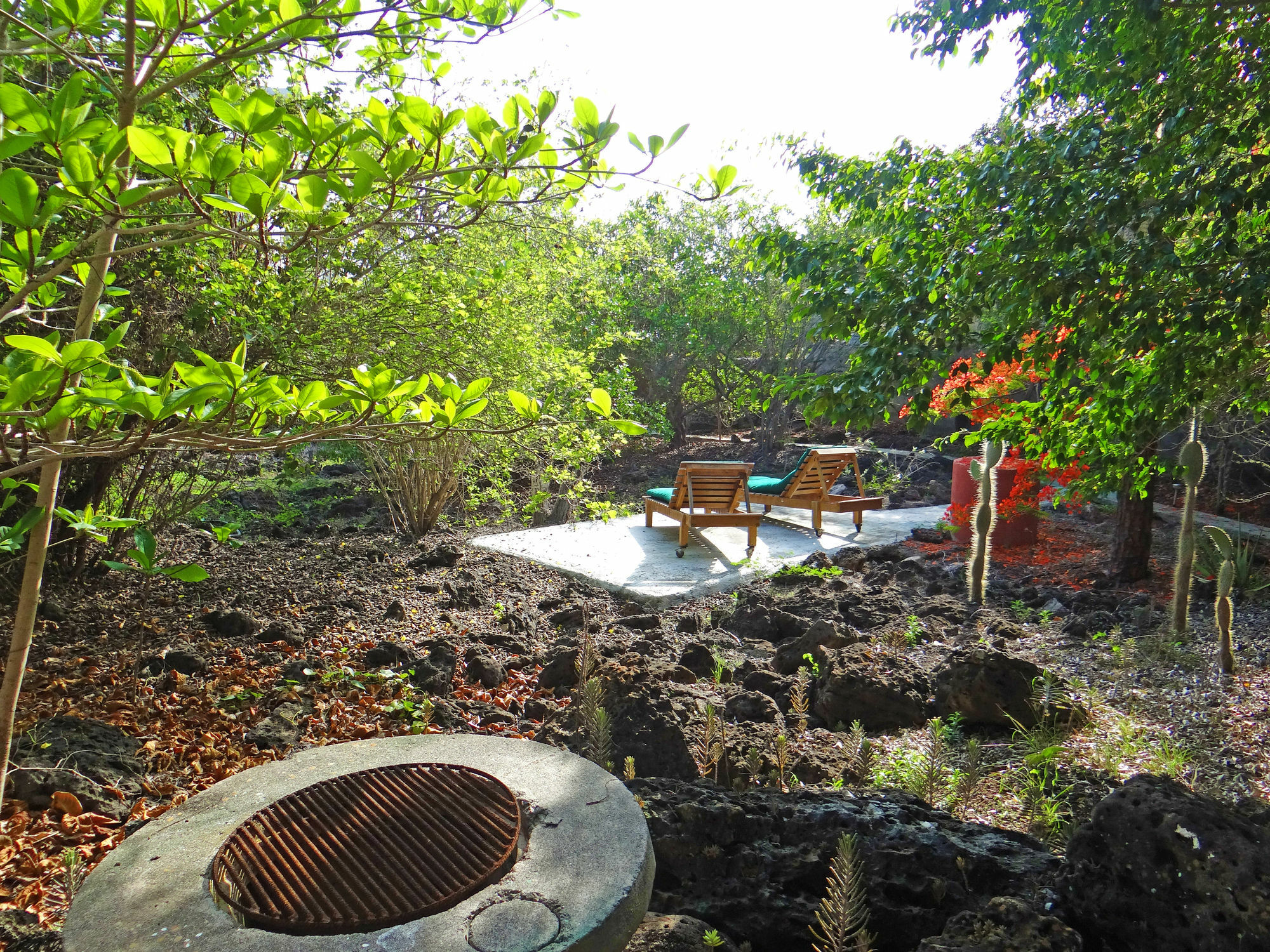 Galapagos Chalet Puerto Ayora  Εξωτερικό φωτογραφία
