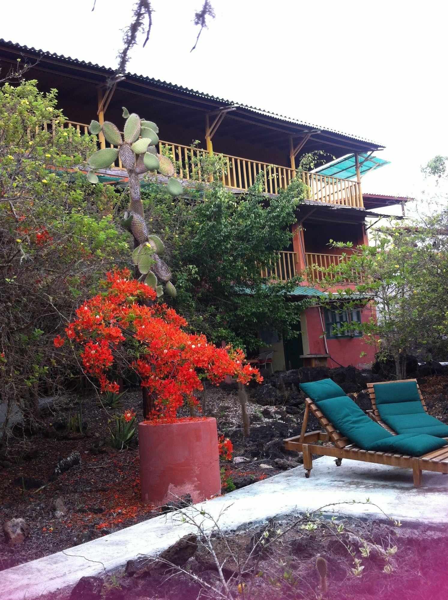Galapagos Chalet Puerto Ayora  Εξωτερικό φωτογραφία