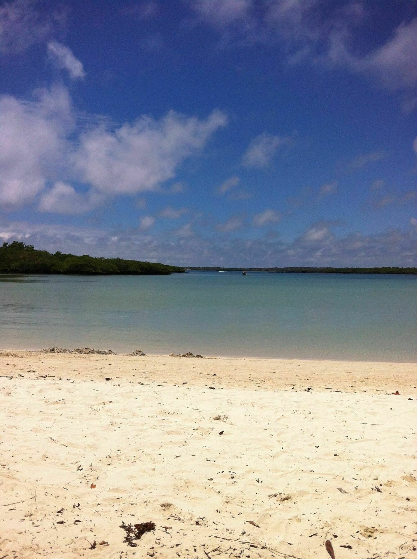 Galapagos Chalet Puerto Ayora  Εξωτερικό φωτογραφία